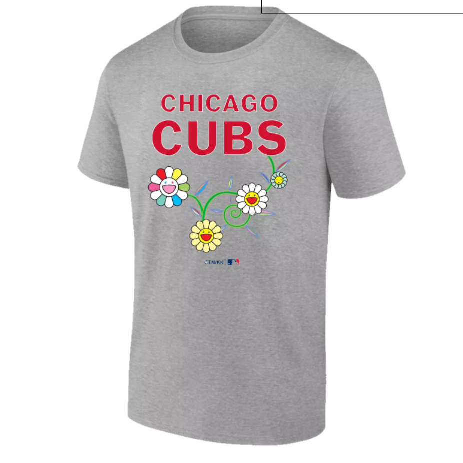 Men Chicago Cubs blank grey 2025 MLB T shirts 53